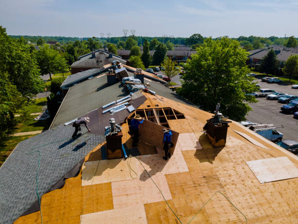 Trusted Roof Replacement service in Davenport, CA - Brentwood Metal Roofing